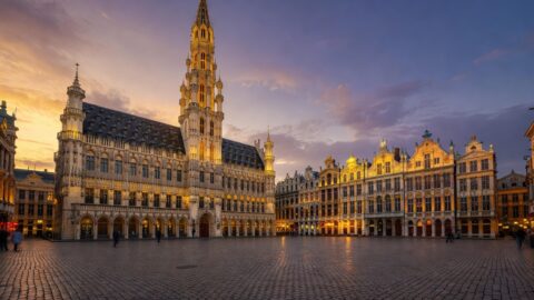 Brussels Walking Tour: Grand Place to Ixelles Neighbourhood