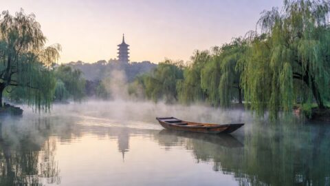 Hangzhou West Lake and Longjing Tea Terraces Walking Tour