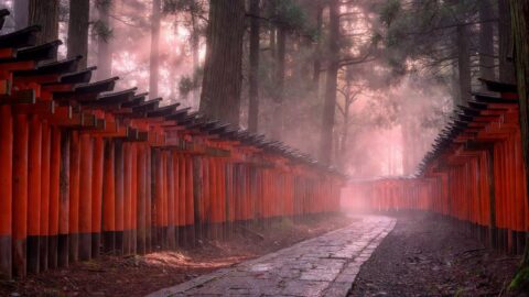Kyoto Walking Tour: Gion Geisha District to Fushimi Inari