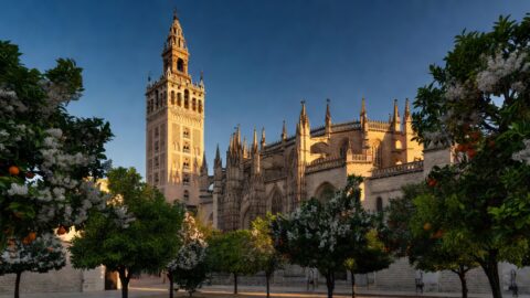 Seville Walking Tour: Santa Cruz to the Cathedral