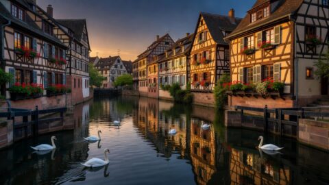 Strasbourg Walking Tour: Petite France and the Cathedral