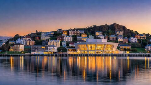 Wellington Walking Tour: Cuba Street to Te Papa and the Waterfront